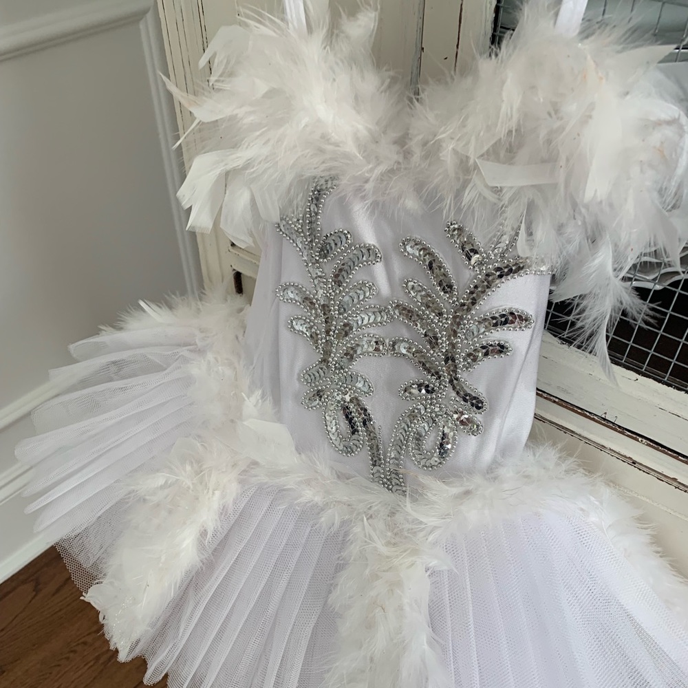 Halloween / dance Swan Princess homemade costume